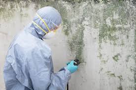 Best Residential Mold Inspection & Testing in North New Hyde Park, NY